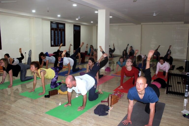 yogaadi_shala-1
