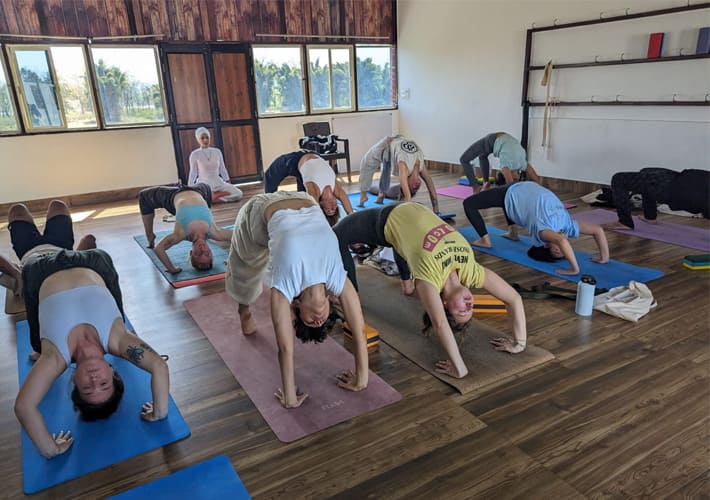 Join yoga teacher training in Rishikesh