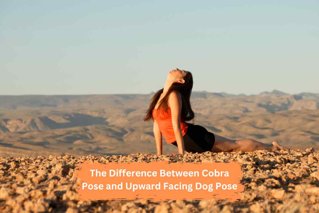 The Difference Between Cobra Pose and Upward Facing Dog Pose